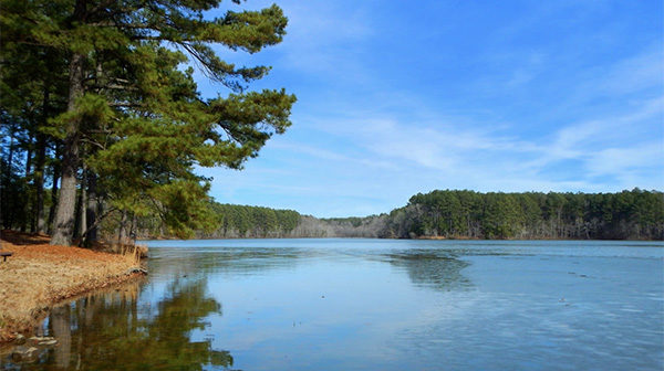 Lake in foreground, forest in the background