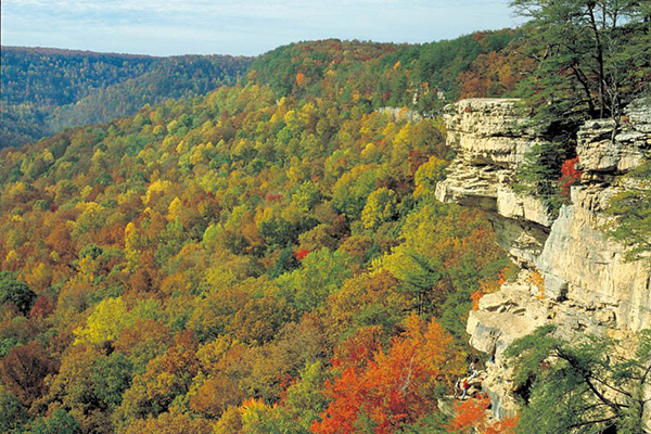 Savage Gulf Day Loop - Tennessee Trails Association