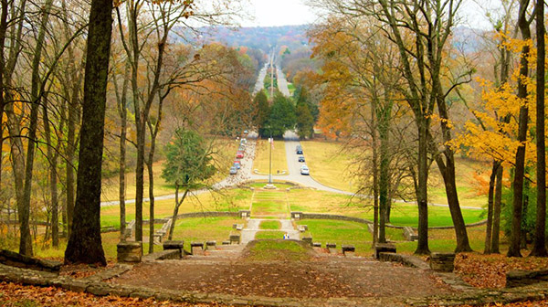 Hardwood trees and deer with Belle Meade Blvd in the background