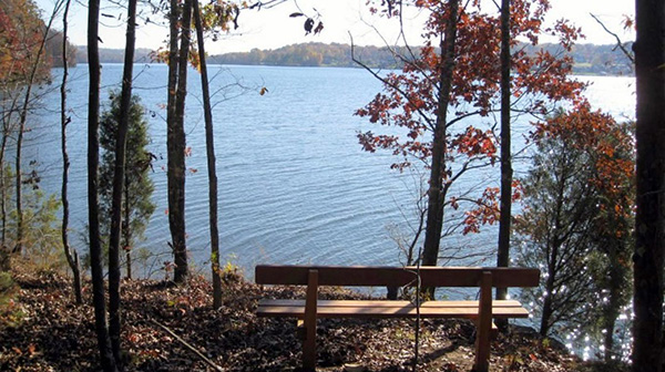 View of a lake through trees with a bench facing the lake