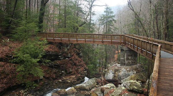 Cloudland Canyon