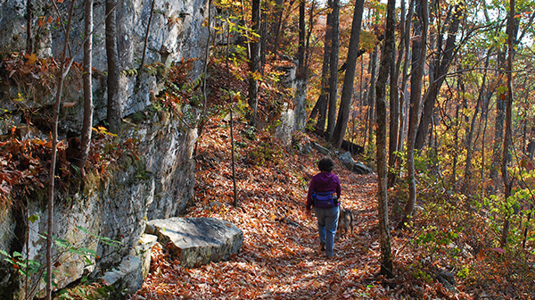 Denny's Cove Trail