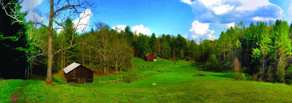 Green meadow with 2 red farm buildings, trees in the background, blue sky above