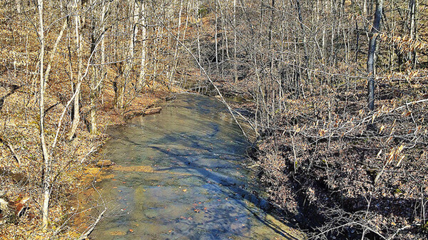 Laurel Woods Trail