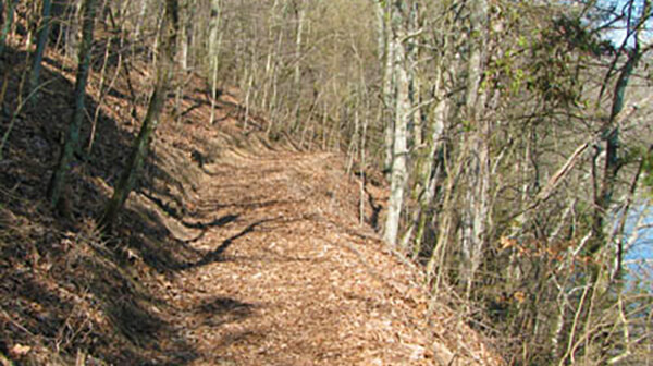 Bledsoe Creek Trail