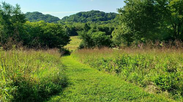 Burch Reserve, Warner Parks