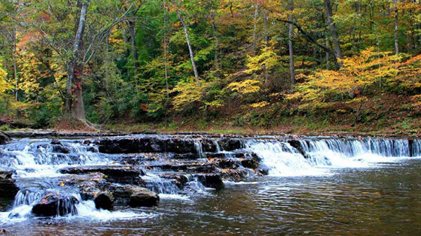 David Crockett State Park