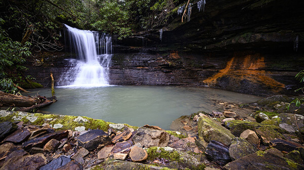 Honey Creek Loop Trail