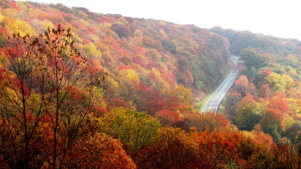 highway winding through wooded hillside in the fall