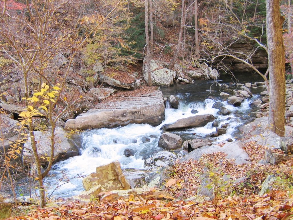 Escape to the Enchanted Forest: Tennessee's Laurel-Snow State Natural Area