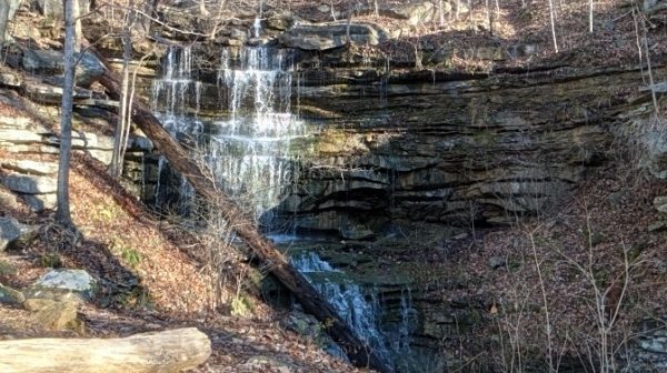 Waterfall against a layered rock wall. Fallen logs in foreground