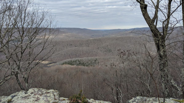 Overview of large forested area. Limestone ledge in foreground