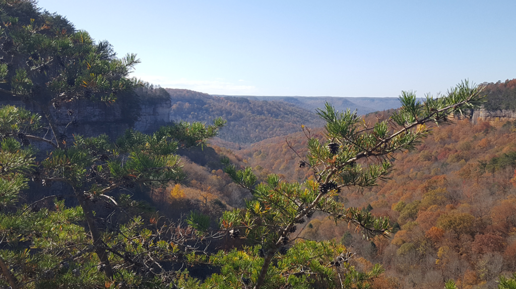 Homepage - Tennessee Trails Association