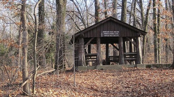 Picnic shelter in wooded area with bare trees
