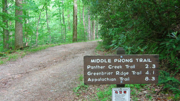 Middle Prong hiking trail sign next to gravel road in a forest