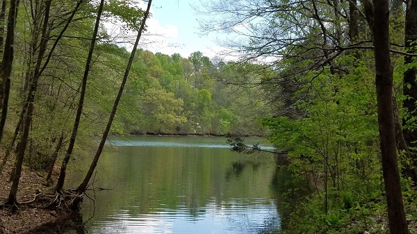 View of Tim's Ford Lake from Ray Branch Trail