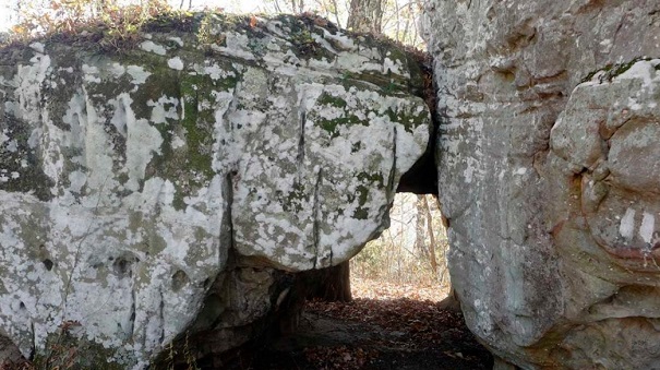 Large limestone rock formation in the woods
