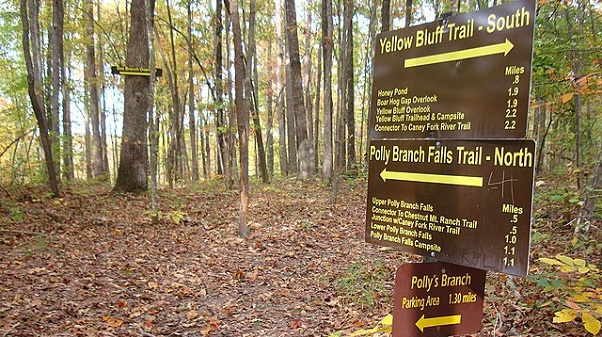 Trail Sign in woods with leaves on the ground