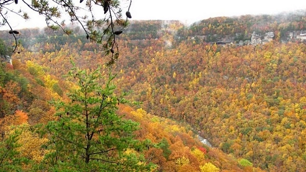 View into a steep valley with the slopes lined with trees in fall dolors