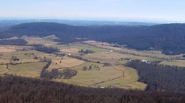 Aerial view of grassy fields surrounded by woods