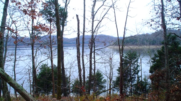 View of Center Hill Lake from Edgar Evins State Park Trail