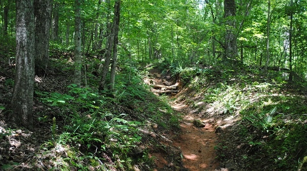 Montgomery bell shop overnight trail