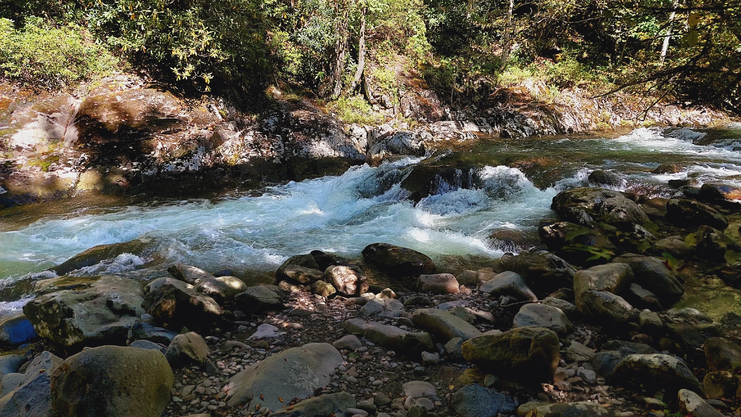 Photo of trailside creek and cascades