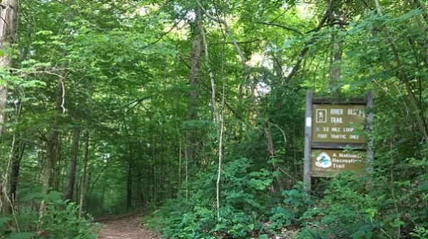 Trail in the forest center with brown & white trail sign on the right