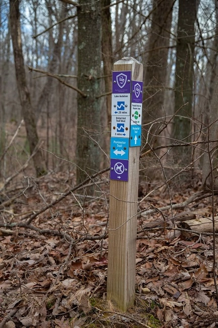 Wooden post in the woods with hiking trail signage
