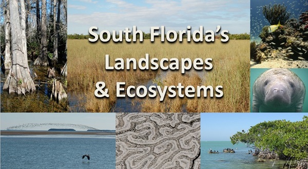 title slide South Florida's Landscapes & Ecosystems