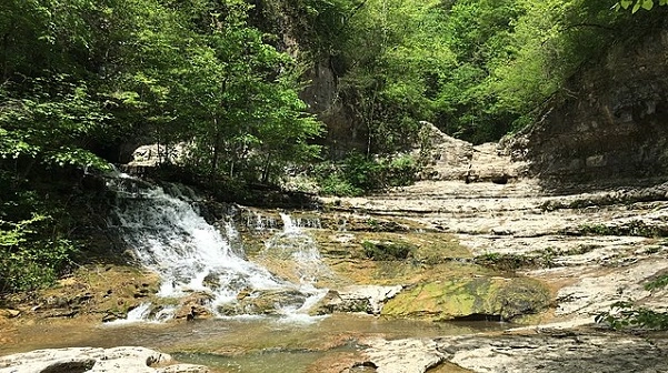 Shallow rocky stream in the woods