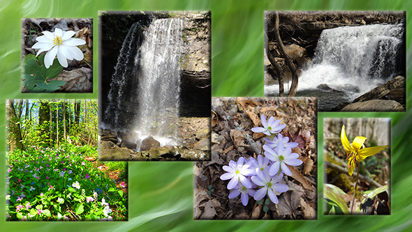 Waterfalls and wildflowers spring