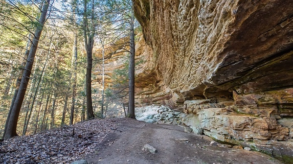 Hiking trail in the woods with large rock wall on the right