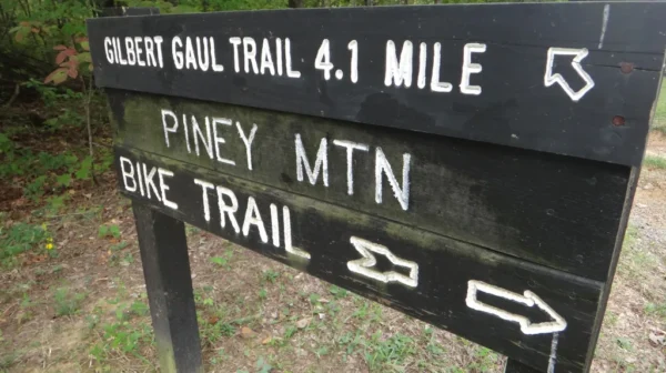 Brown Trail sign with white lettering
