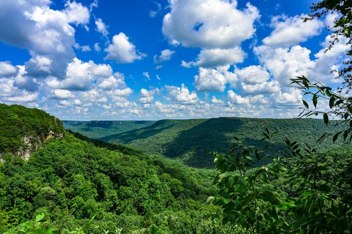 Savage Gulf State Park - Backpacking to Hobbs Cabin Campsites ...