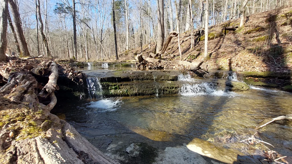 Creek Cascades in the woods during winter