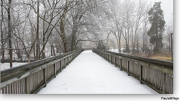 Snow covered greenway in a wooded area, with wooden fencing the sides